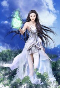 系統之美人制造