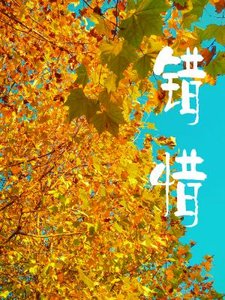 錯惜